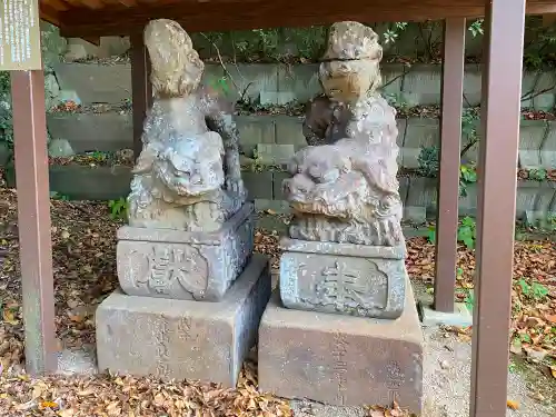 賣豆紀神社の狛犬