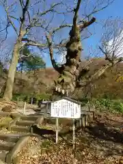 那須温泉神社の自然