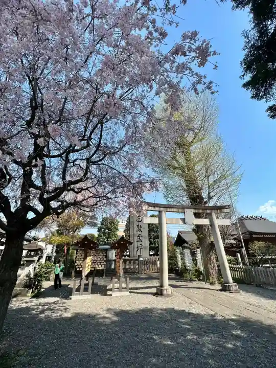 阿豆佐味天神社 立川水天宮(東京都)