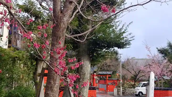車折神社の自然