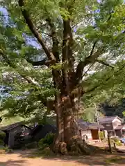 石部神社の自然