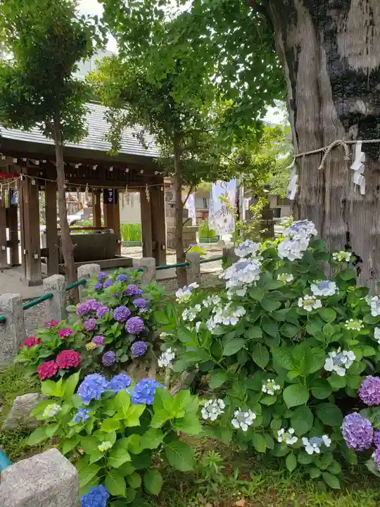 磐井神社(東京都)