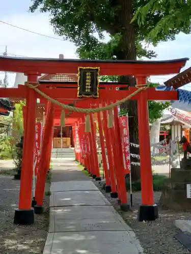 於菊稲荷神社の鳥居