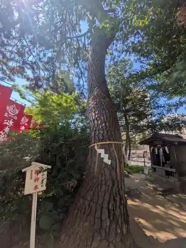 松先稲荷神社(千葉県)