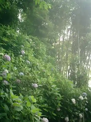 御霊神社の自然