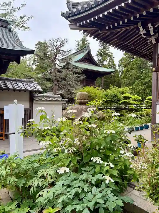 円覚寺の{uncategorized: "未分類", other: "その他", undefined: "問題あり", building: "その他建物", grave: "お墓", sacred_gate: "鳥居", guardian: "狛犬", statue: "像", buddha: "仏像", history: "歴史", nature: "自然", garden: "庭園", animal: "動物", pagoda: "塔", temizu: "手水舎", mountain_gate: "山門・神門", sanctuary: "本殿・本堂", subordinate: "末社・摂社", art: "芸術", scenery: "景色", jizo: "地蔵", ema: "絵馬", goshuin: "御朱印", omikuji: "おみくじ", items: "授与品その他", amulet: "お守り", goshuincho: "御朱印帳", eats: "食事", festival: "お祭り", votive_dance: "神楽", shichigosan: "七五三参", wedding: "結婚式", experience: "体験その他", initially: "初詣", around: "周辺", anti_infection: "感染症対策"}