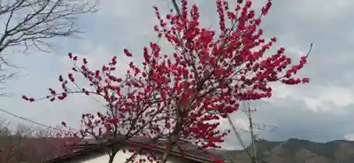 法長寺(埼玉県)