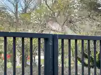 秋葉神社のその他建物