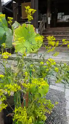 行願寺（革堂）(京都府)