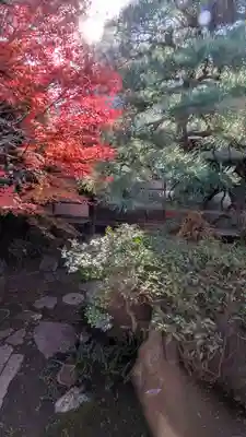 金臺寺（金台寺）(京都府)