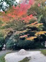 明月院(神奈川県)