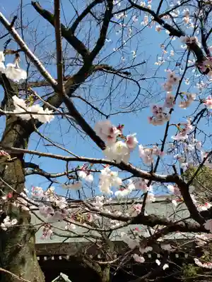 靖國神社(東京都)