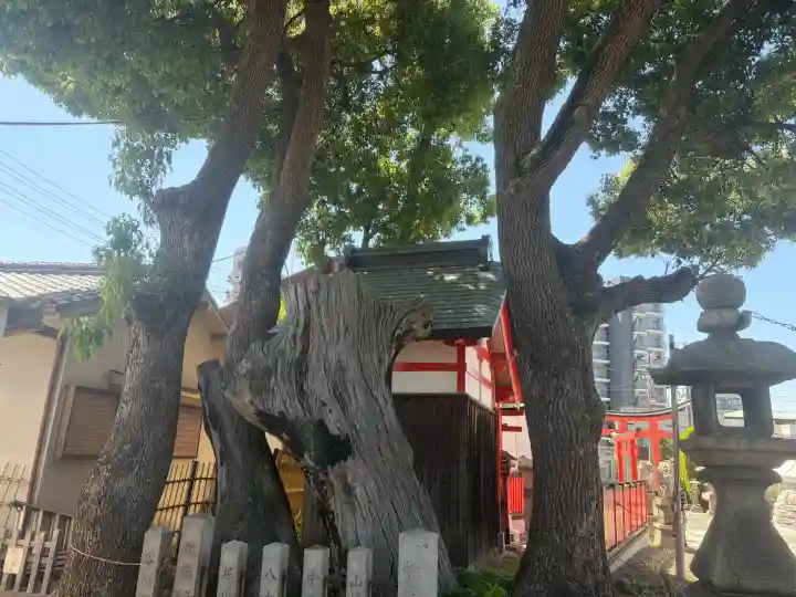 姫嶋神社の{uncategorized: "未分類", other: "その他", undefined: "問題あり", building: "その他建物", grave: "お墓", sacred_gate: "鳥居", guardian: "狛犬", statue: "像", buddha: "仏像", history: "歴史", nature: "自然", garden: "庭園", animal: "動物", pagoda: "塔", temizu: "手水舎", mountain_gate: "山門・神門", sanctuary: "本殿・本堂", subordinate: "末社・摂社", art: "芸術", scenery: "景色", jizo: "地蔵", ema: "絵馬", goshuin: "御朱印", omikuji: "おみくじ", items: "授与品その他", amulet: "お守り", goshuincho: "御朱印帳", eats: "食事", festival: "お祭り", votive_dance: "神楽", shichigosan: "七五三参", wedding: "結婚式", experience: "体験その他", initially: "初詣", around: "周辺", anti_infection: "感染症対策"}