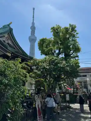 高木神社の{uncategorized: "未分類", other: "その他", undefined: "問題あり", building: "その他建物", grave: "お墓", sacred_gate: "鳥居", guardian: "狛犬", statue: "像", buddha: "仏像", history: "歴史", nature: "自然", garden: "庭園", animal: "動物", pagoda: "塔", temizu: "手水舎", mountain_gate: "山門・神門", sanctuary: "本殿・本堂", subordinate: "末社・摂社", art: "芸術", scenery: "景色", jizo: "地蔵", ema: "絵馬", goshuin: "御朱印", omikuji: "おみくじ", items: "授与品その他", amulet: "お守り", goshuincho: "御朱印帳", eats: "食事", festival: "お祭り", votive_dance: "神楽", shichigosan: "七五三参", wedding: "結婚式", experience: "体験その他", initially: "初詣", around: "周辺", anti_infection: "感染症対策"}