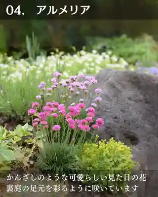 宝光寺(北海道)