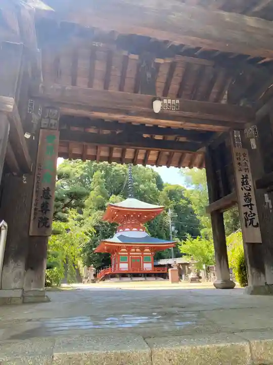 慈尊院の山門・神門