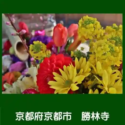 勝林寺の手水舎