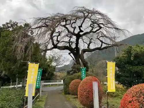 長泉院(埼玉県)
