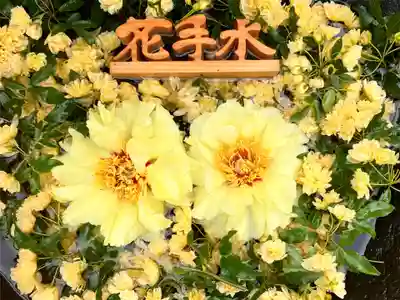 真言宗　善通寺派　薬王寺(香川県)