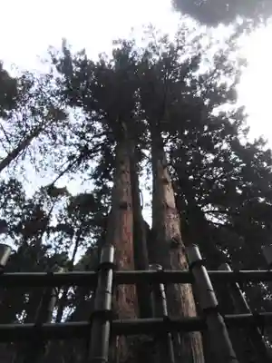 御岩神社(茨城県)