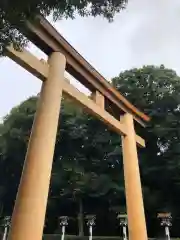 橿原神宮の鳥居