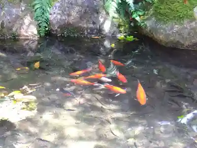 天日陰比咩神社(石川県)