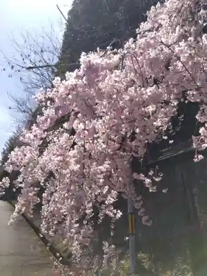 永林寺(京都府)