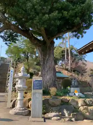 長谷寺のその他建物