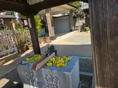 川越八幡宮の{uncategorized: "未分類", other: "その他", undefined: "問題あり", building: "その他建物", grave: "お墓", sacred_gate: "鳥居", guardian: "狛犬", statue: "像", buddha: "仏像", history: "歴史", nature: "自然", garden: "庭園", animal: "動物", pagoda: "塔", temizu: "手水舎", mountain_gate: "山門・神門", sanctuary: "本殿・本堂", subordinate: "末社・摂社", art: "芸術", scenery: "景色", jizo: "地蔵", ema: "絵馬", goshuin: "御朱印", omikuji: "おみくじ", items: "授与品その他", amulet: "お守り", goshuincho: "御朱印帳", eats: "食事", festival: "お祭り", votive_dance: "神楽", shichigosan: "七五三参", wedding: "結婚式", experience: "体験その他", initially: "初詣", around: "周辺", anti_infection: "感染症対策"}