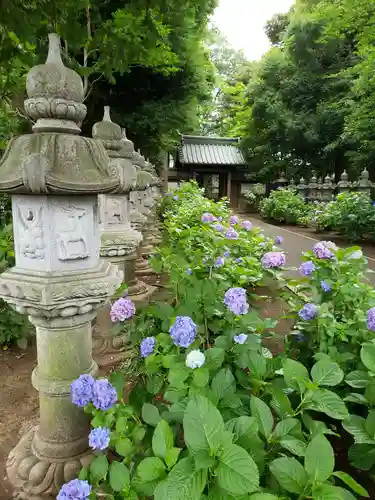 妙法寺(東京都)