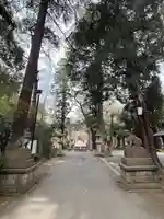 岩槻久伊豆神社(埼玉県)