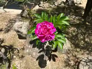 木舟山 順教寺(広島県)(2025年05月15日(木) 08時53分13秒投稿)