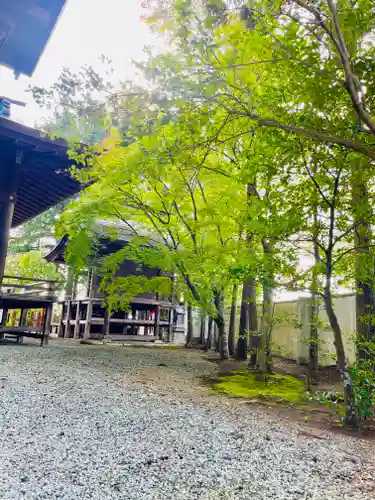 仙台八坂神社(宮城県)