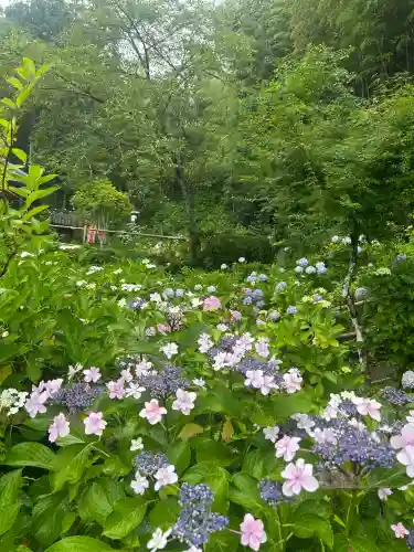 極楽寺(静岡県)