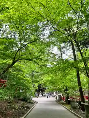 目の霊山　油山寺(静岡県)