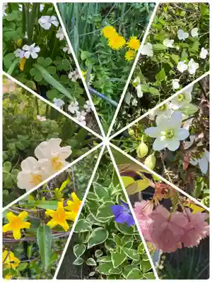 岡部春日神社～👹鬼門よけの🌺花咲く🌺やしろ～(福島県)