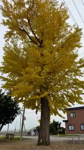 開発稲荷神社(北海道)