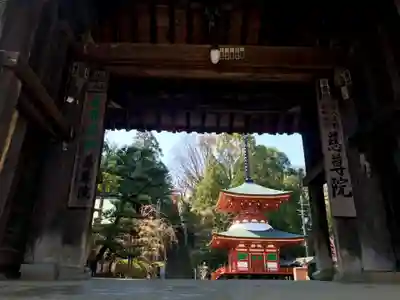 慈尊院の山門・神門