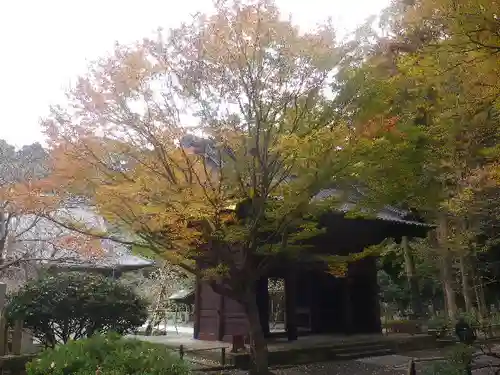 妙本寺のその他建物
