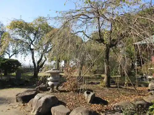 慈眼寺の庭園