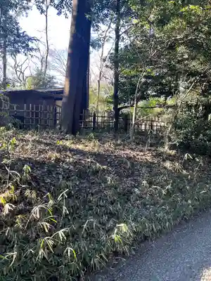 明治神宮(東京都)