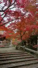 鍬山神社(京都府)