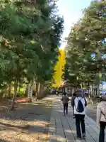 新宮熊野神社のその他建物