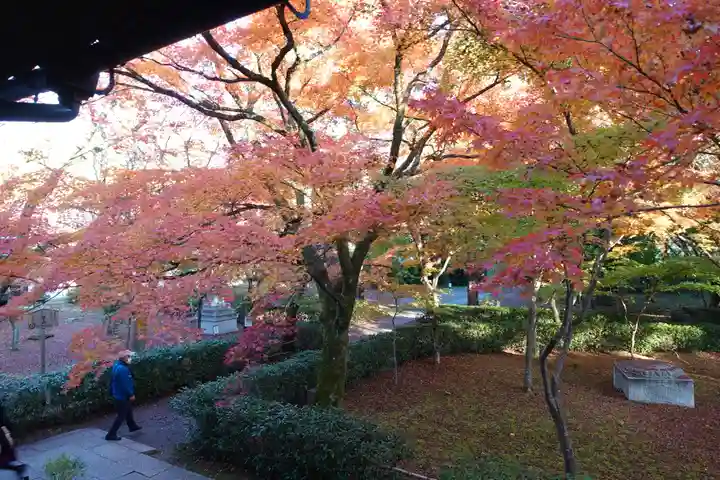 真正極楽寺(真如堂)(京都府)
