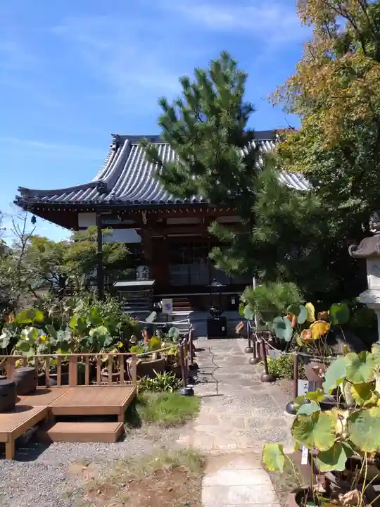 大蓮寺(京都府)
