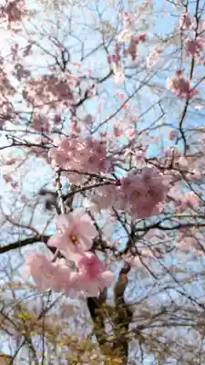 松ヶ崎大黒天 妙圓寺（妙円寺）(京都府)