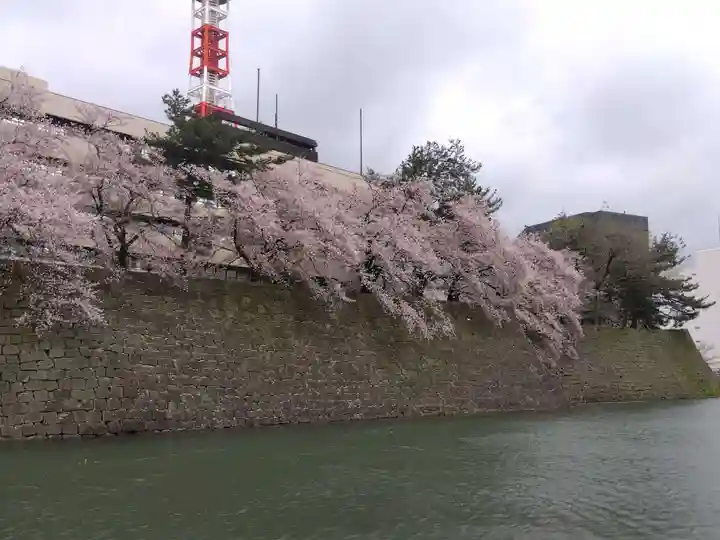 福井神社(福井県)