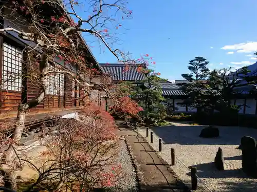 崇福寺の庭園