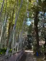 妙福寺の{uncategorized: "未分類", other: "その他", undefined: "問題あり", building: "その他建物", grave: "お墓", sacred_gate: "鳥居", guardian: "狛犬", statue: "像", buddha: "仏像", history: "歴史", nature: "自然", garden: "庭園", animal: "動物", pagoda: "塔", temizu: "手水舎", mountain_gate: "山門・神門", sanctuary: "本殿・本堂", subordinate: "末社・摂社", art: "芸術", scenery: "景色", jizo: "地蔵", ema: "絵馬", goshuin: "御朱印", omikuji: "おみくじ", items: "授与品その他", amulet: "お守り", goshuincho: "御朱印帳", eats: "食事", festival: "お祭り", votive_dance: "神楽", shichigosan: "七五三参", wedding: "結婚式", experience: "体験その他", initially: "初詣", around: "周辺", anti_infection: "感染症対策"}