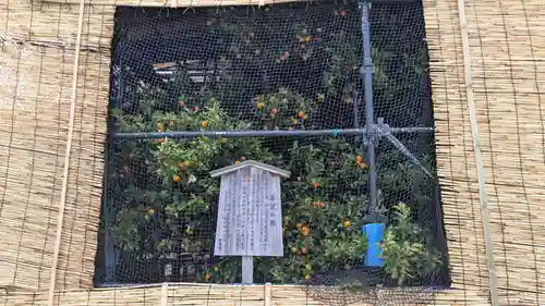 平安神宮(京都府)
